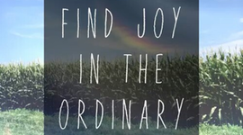 Timeline: La Vida de Sydney Verdecchia