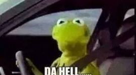 Timeline: La Increíble Vida de Dwayne