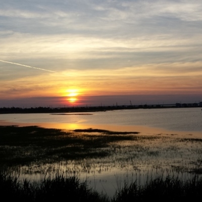 Timeline: Línea de tiempo de mi vida