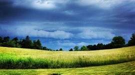 Timeline: The Life of Anna Leigh Smith