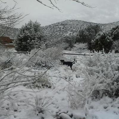 Timeline: Chandlers Histtory in Northern Az.