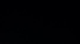 Timeline: HoloCaust Timeline