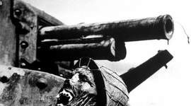 Timeline: Phipps & Green WWII Timeline S2TM (Swag 2 The Max)