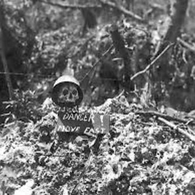 Timeline: Alex Seaton and Brendon Mathews