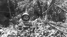 Timeline: Alex Seaton and Brendon Mathews