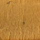 Paper texture1291