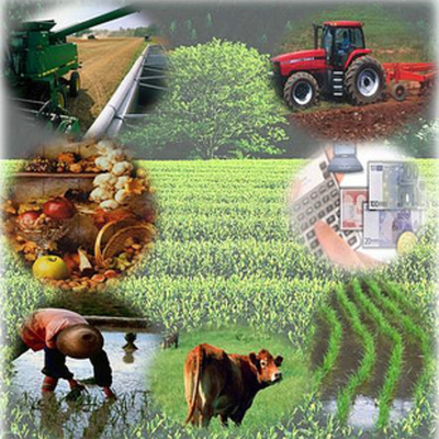 Timeline: Hoja de Ruta