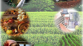 Timeline: Hoja de Ruta