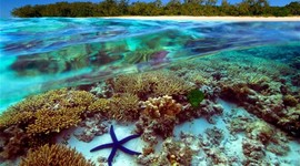 Timeline: The Great Barrier Reef