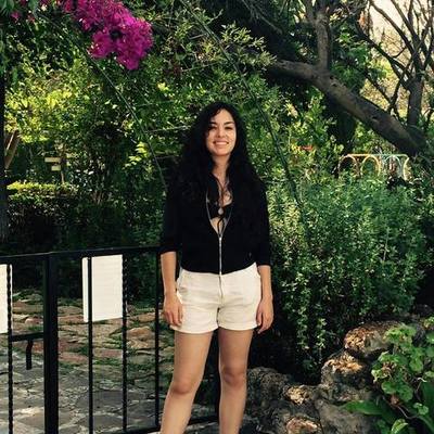 Timeline: Linea del tiempo tutoreo