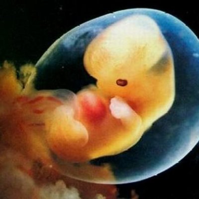 Timeline: Una maravilla en 9 meses