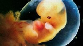 Timeline: Una maravilla en 9 meses