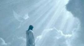 Timeline: CARRERA PROFESIONAL