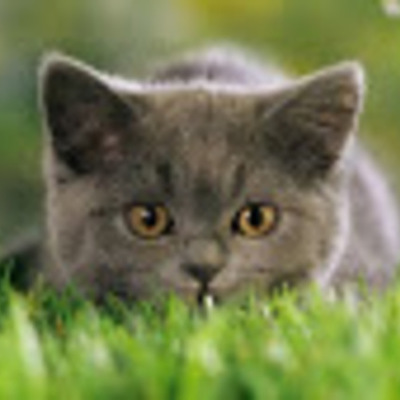 Timeline: My Timeline!!!!!!!!!!!!!!!!!