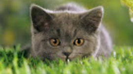 Timeline: My Timeline!!!!!!!!!!!!!!!!!