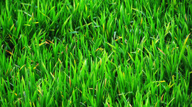 Timeline: Important events on January 7