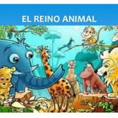 Timeline: REINO ANIMAL