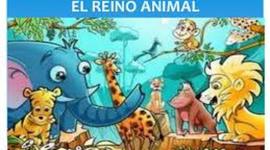Timeline: REINO ANIMAL