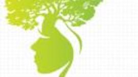 Timeline: Waste Collecting