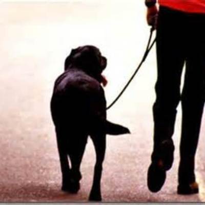 Timeline: History of Shelters in the US