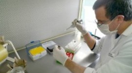 Timeline: Acontecimientos Biotecnológicos