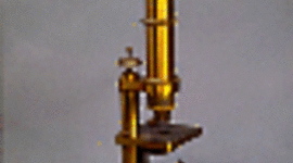 Timeline: HISTORIA DEL MICROSCOPIO