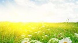 Timeline: Семейный дом "Радость моя"