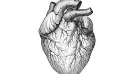 Timeline: AMBIENTE CONDIVISO PER MIGLIORARE L'HEALTH LITERACY