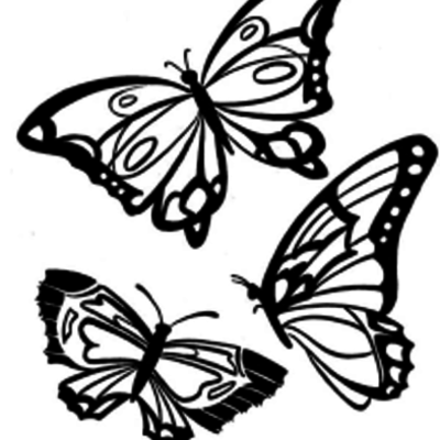 Timeline: Time of the Butterflies Timeline