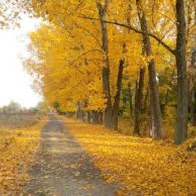 Timeline: Los Acontecimientos mas importantes de mi vida