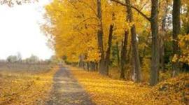 Timeline: Los Acontecimientos mas importantes de mi vida