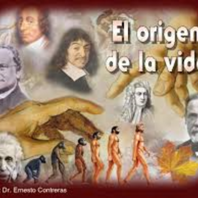 Timeline: Origen de la Vida