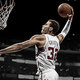 Blake griffin jordan brand
