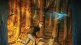 Timeline: Forbidden Forest  SINGH