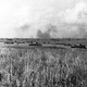 German panzers at kursk