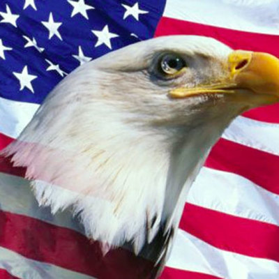 Timeline: The Story of US