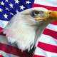 Usa flag eagle