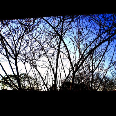 Timeline: Hitos de mi vida