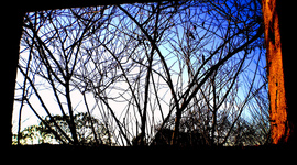 Timeline: Hitos de mi vida