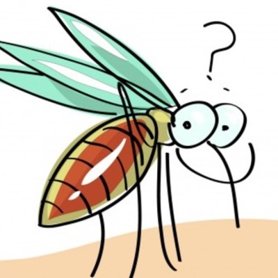 Timeline: Chikunguña