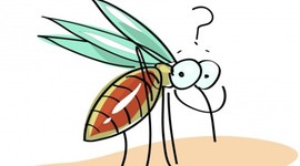 Timeline: Chikunguña