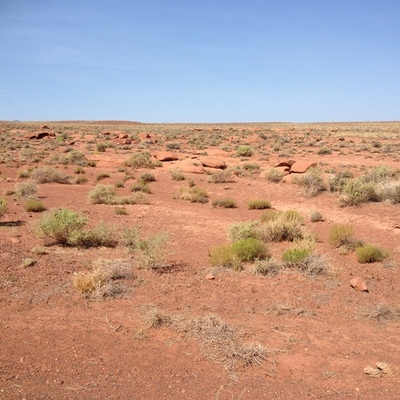 Timeline: Arizona Immigration Timeline