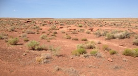 Timeline: Arizona Immigration Timeline