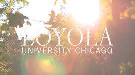 Timeline: Reflection Module Development Timeline