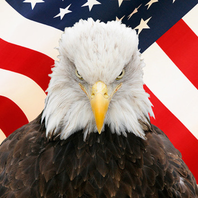 Timeline: Historical events in Brazil