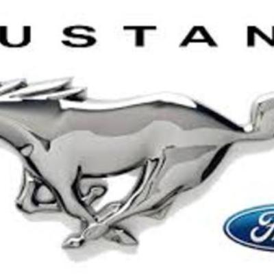 Timeline: 15 years of the Mustang Ford by Ethan Moore