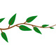 Branch
