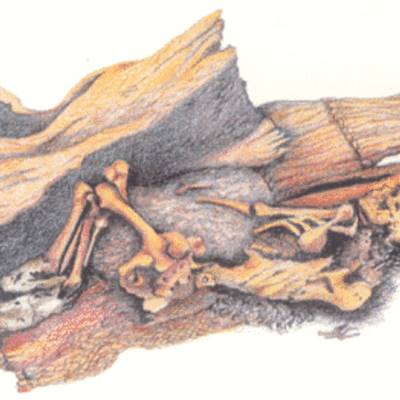 Timeline: What Was Happening Worldwide during 7,500-50 BC.
