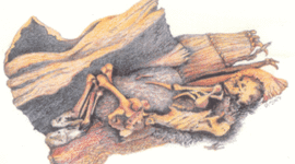 Timeline: What Was Happening Worldwide during 7,500-50 BC.