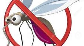 Timeline: Origen y Evolución de la enfermedad del Chikungunya